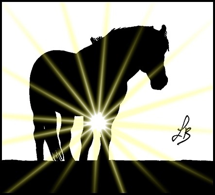Cavallo tramonto min