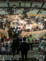 romacomics2011mini