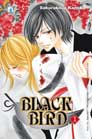 black_ird_1